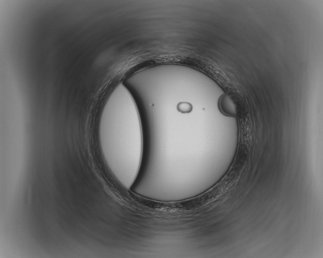 X0000116880742200912220944