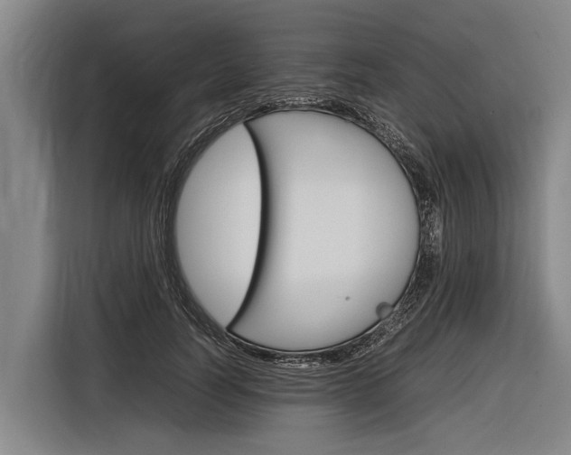 X0000116880746200912220944