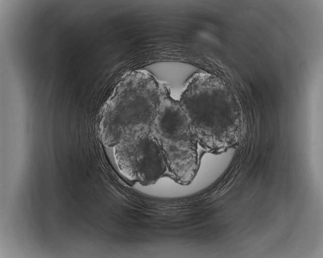 X0000116880749200912220944