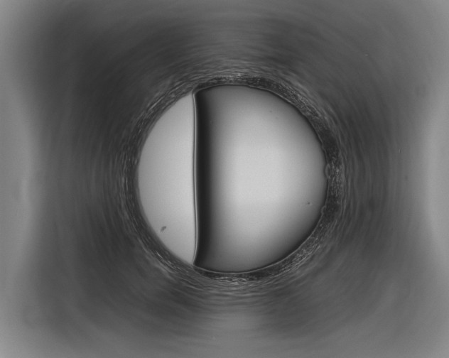 X0000116880750200912220944