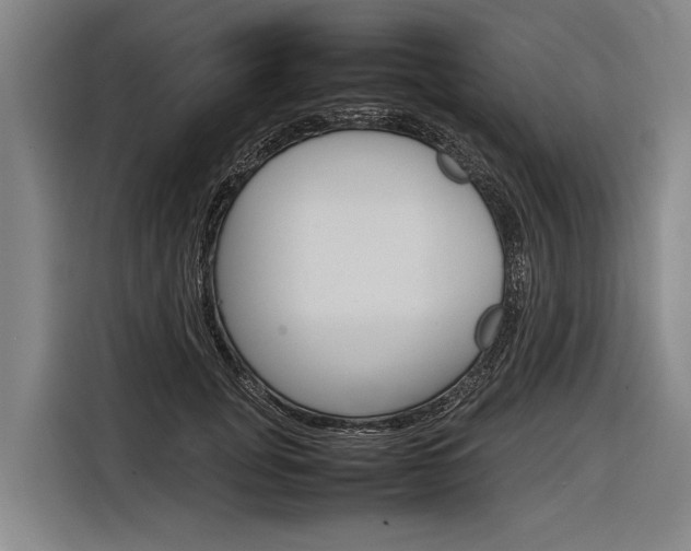 X0000116880751200912220944