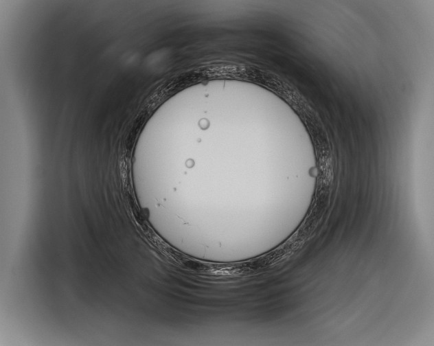 X0000116880753200912220944