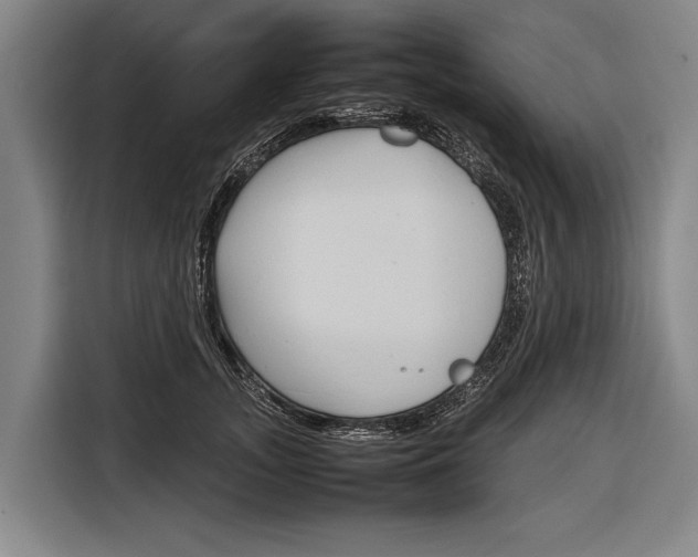 X0000116880755200912220944