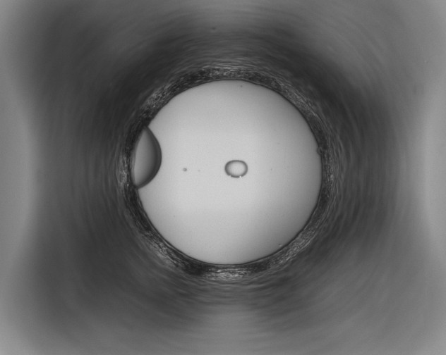 X0000116880758200912220944