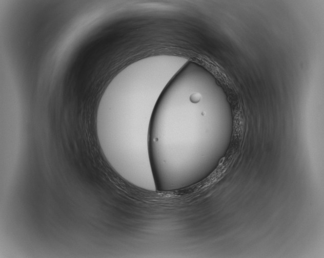 X0000116880762200912220944
