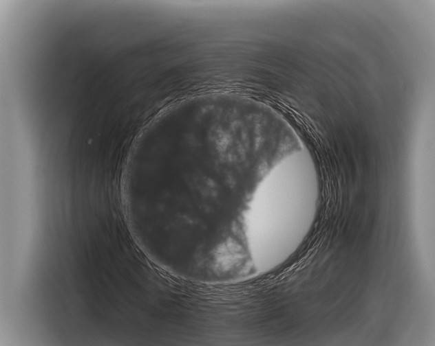 X0000116880770200912220944
