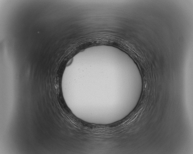 X0000116880771200912220944