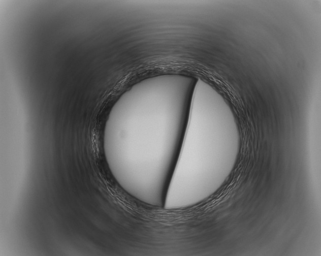 X0000116880772200912220944