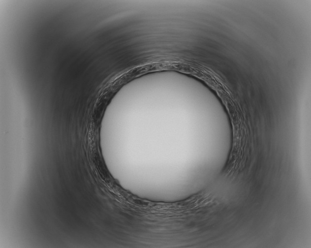 X0000116880773200912220944