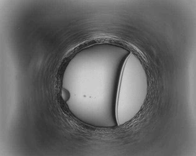 X0000116880775200912220944