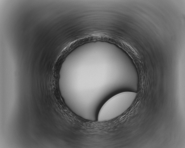 X0000116880776200912220944