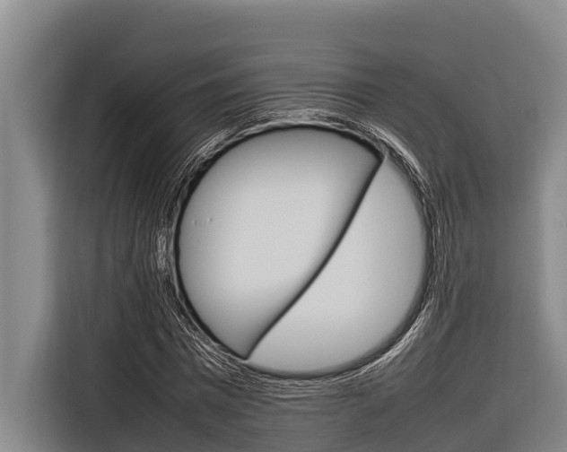X0000116880777200912220944