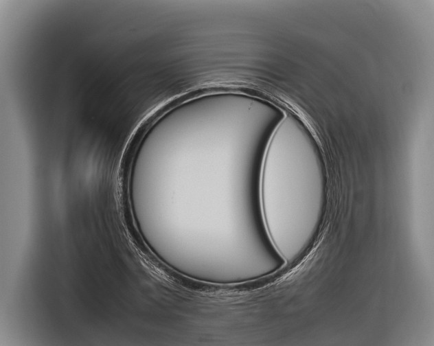 X0000116880779200912220943