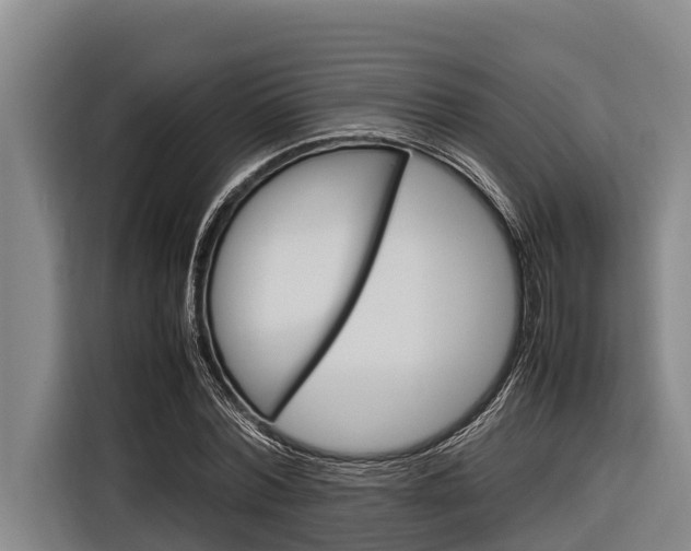 X0000116880780200912220943