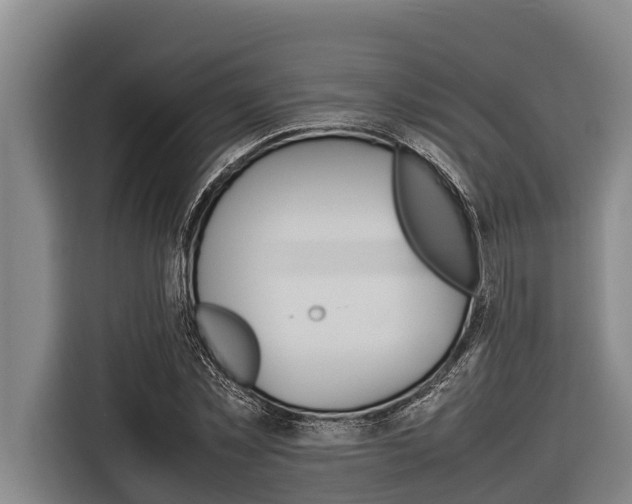 X0000116880781200912220943