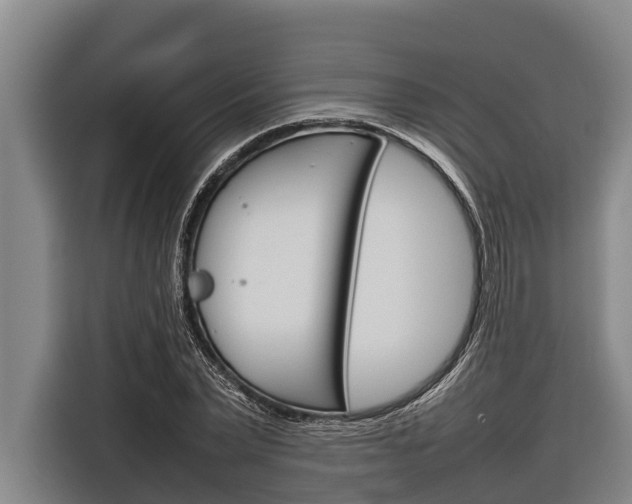 X0000116880783200912220943