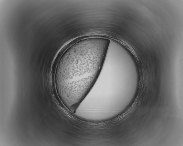 X0000116880784200912220943