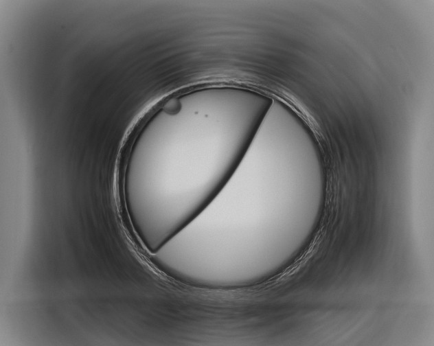 X0000116880788200912220943