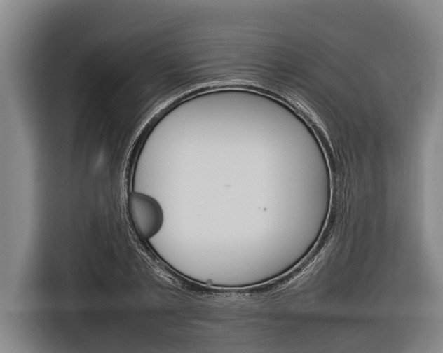 X0000116880789200912220943