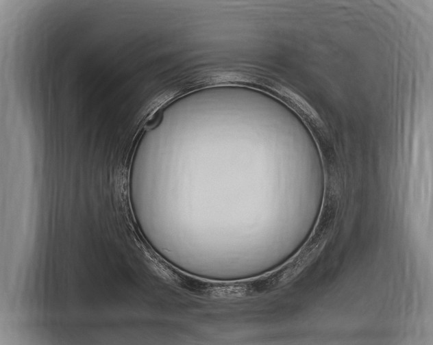 X0000116880793200912220943