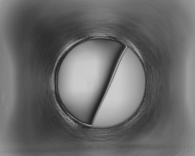X0000116880795200912220943