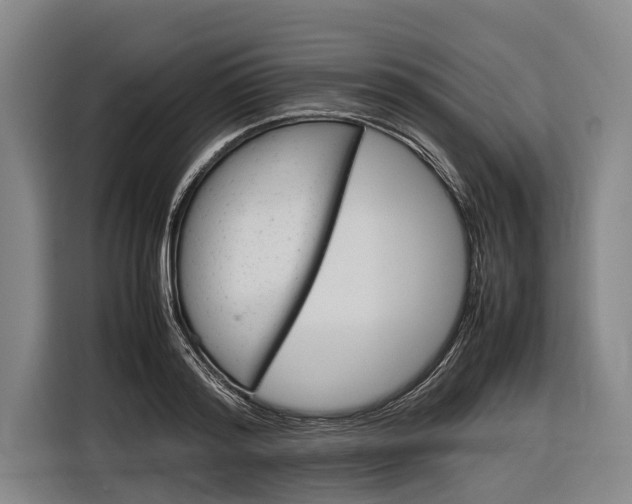X0000116880796200912220943