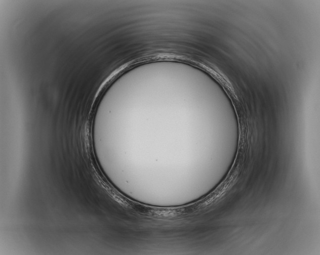 X0000116880798200912220943