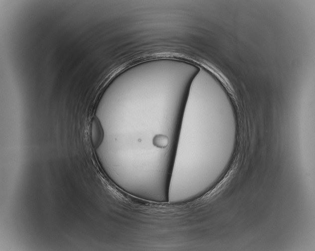X0000116880801200912220943