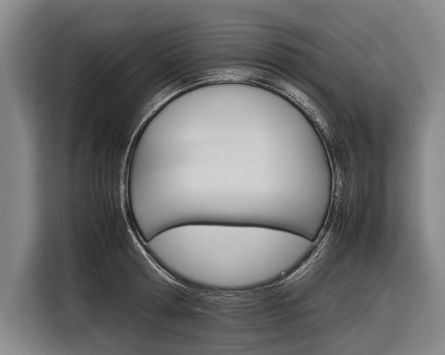 X0000116880802200912220943