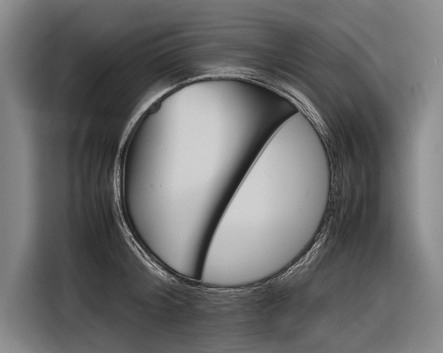 X0000116880804200912220943