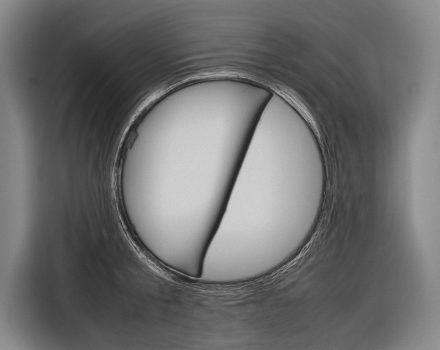 X0000116880805200912220943