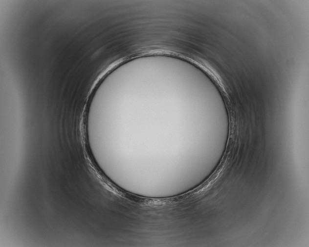 X0000116880806200912220943