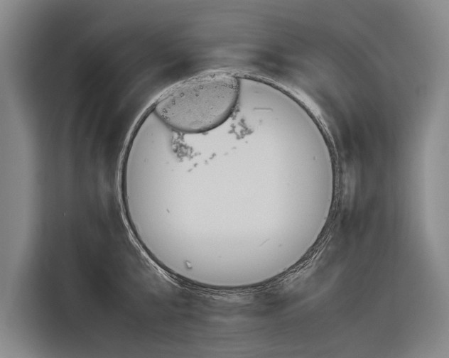 X0000116880807200912220943