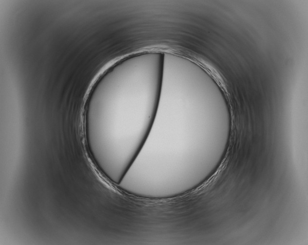 X0000116880808200912220943