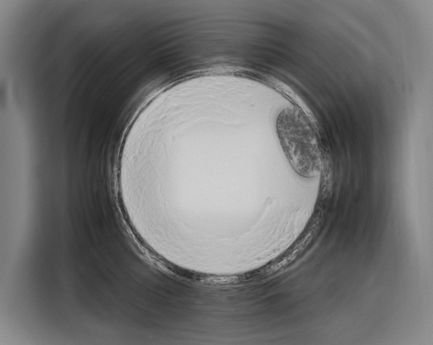 X0000116880810200912220943