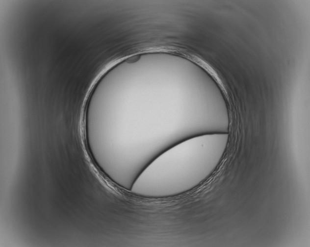X0000116880811200912220943