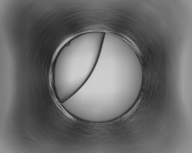 X0000116880812200912220943