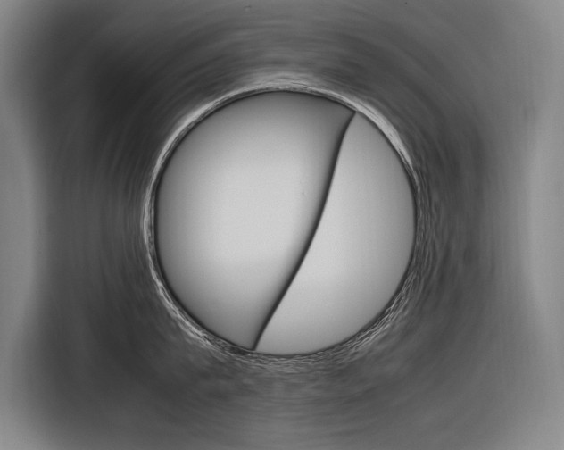 X0000116880815200912220943
