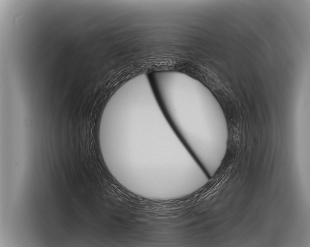 X0000116880818200912220942