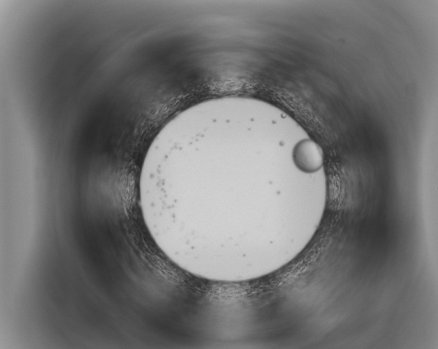 X0000116880820200912220942