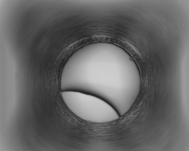 X0000116880821200912220942