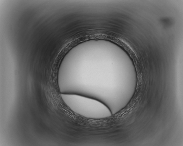 X0000116880823200912220942