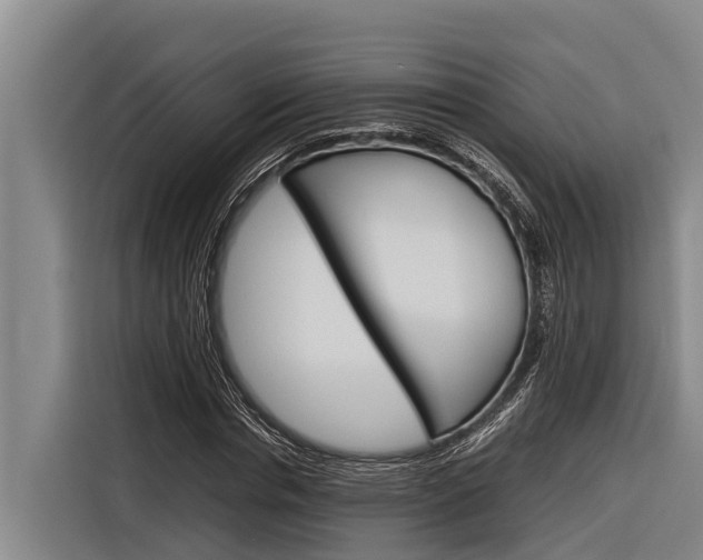 X0000116880826200912220942