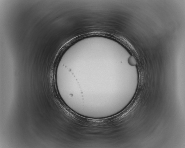 X0000116880831200912220943