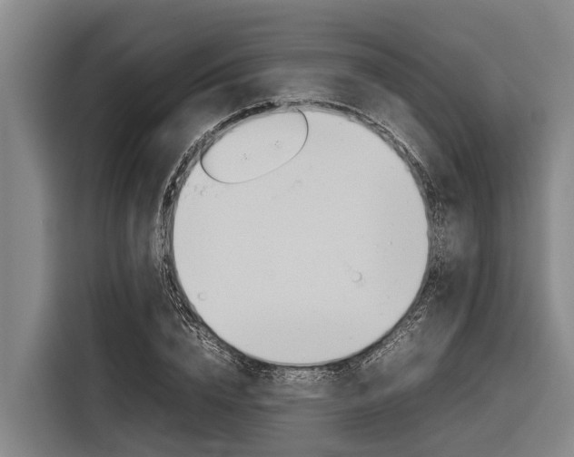 X0000116880832200912220943