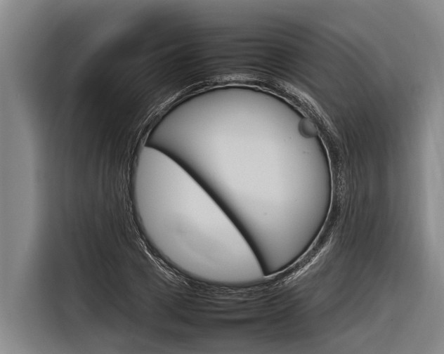 X0000116880833200912220943