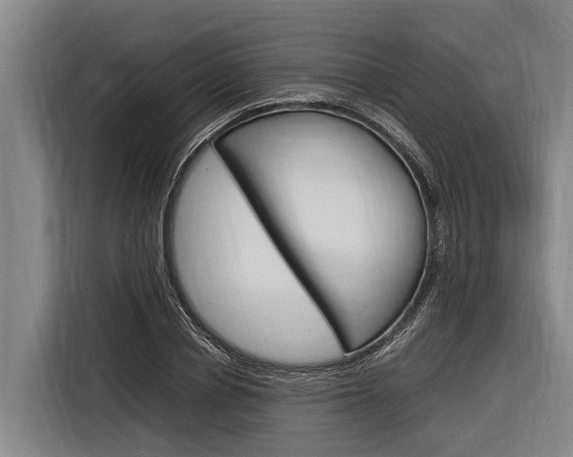 X0000116880834200912220943