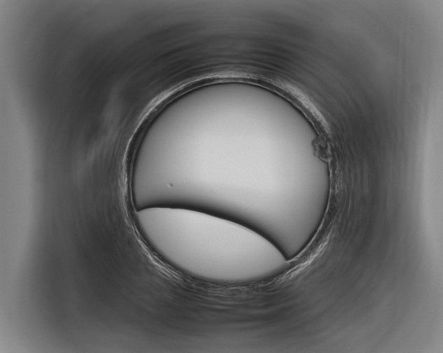 X0000116880837200912220943