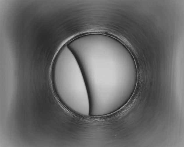 X0000116880838200912220943