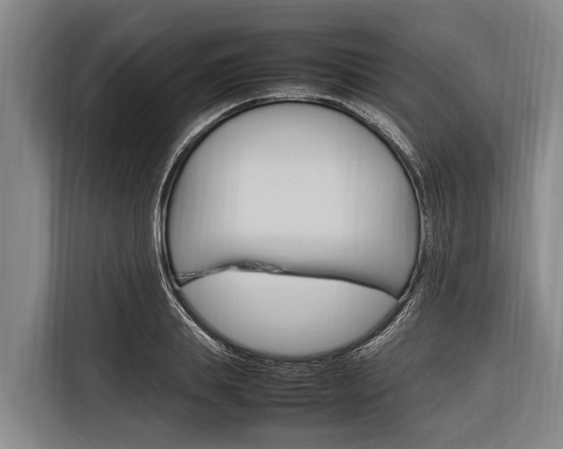 X0000116880839200912220943
